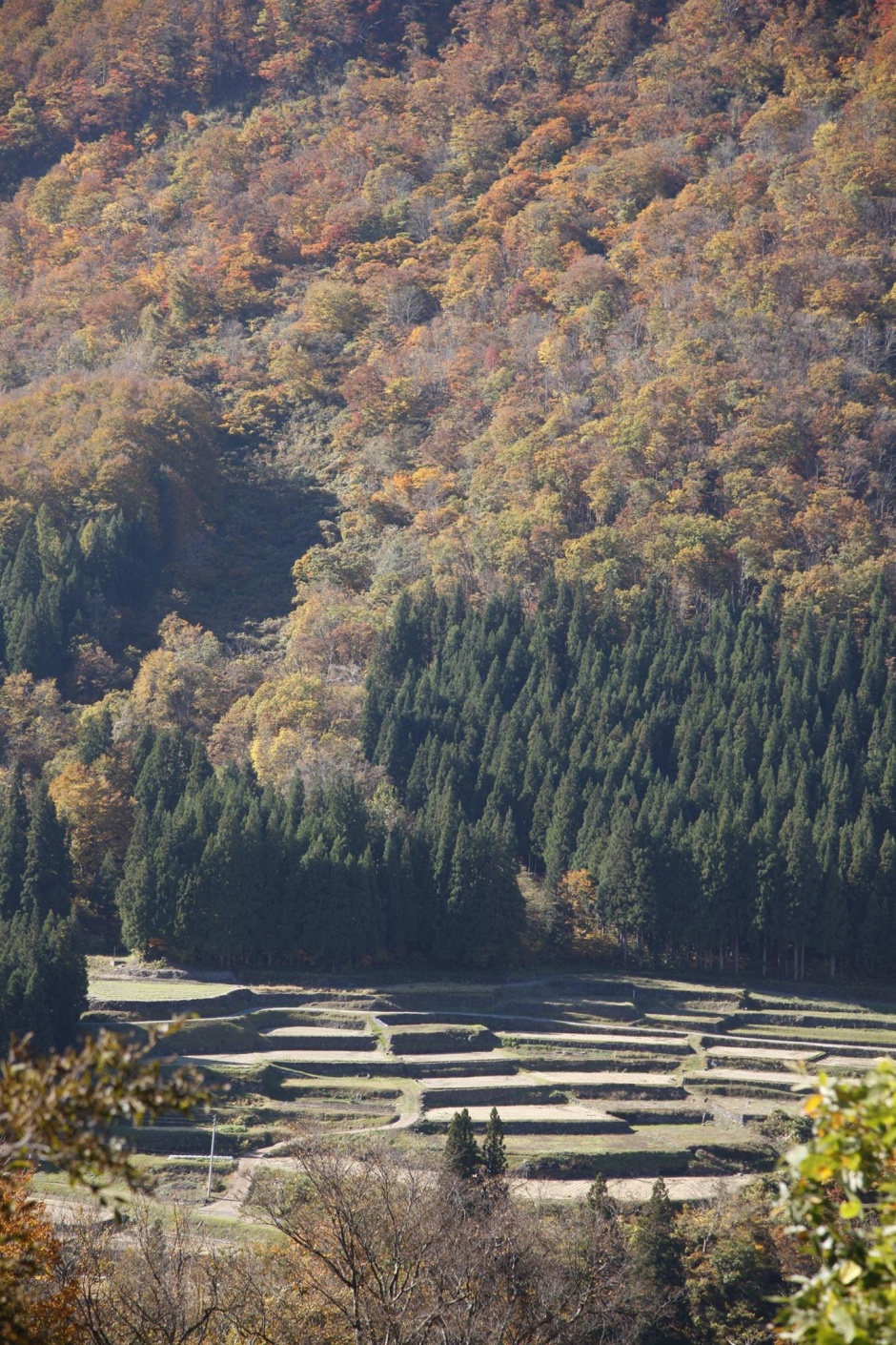 温泉好きにはたまらない秘湯がずらり