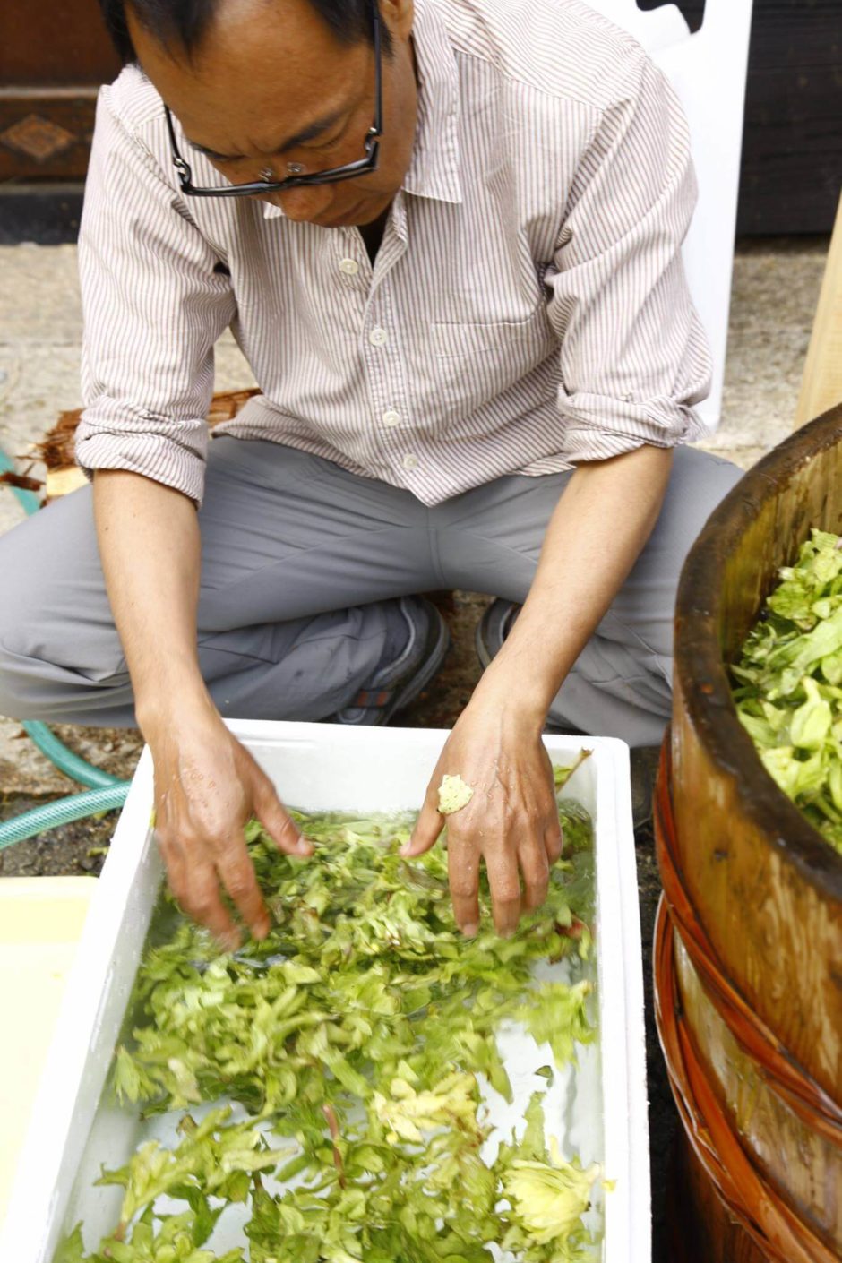 里山十帖 年に一度の「ふきみそづくり」