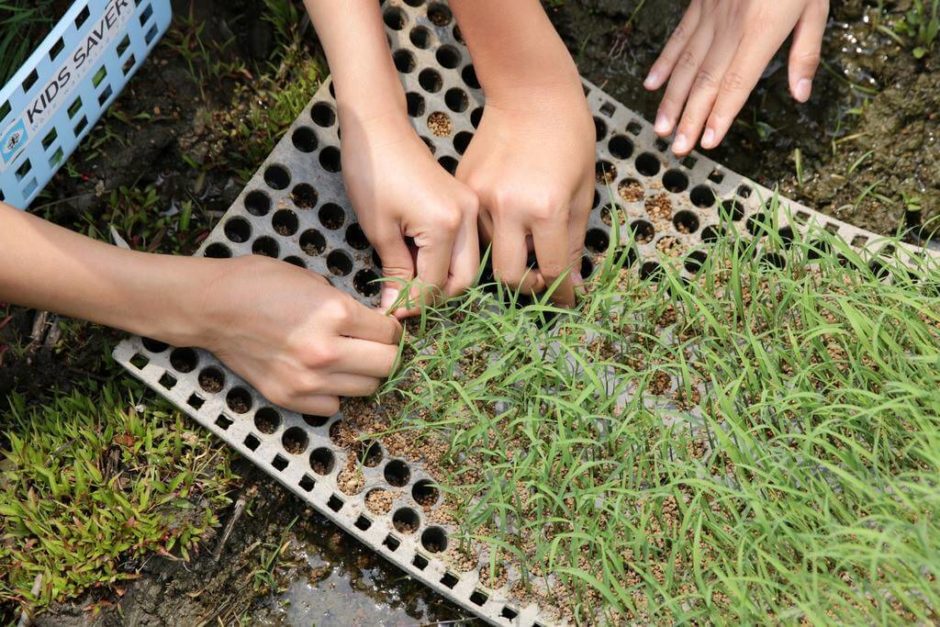 Food academy - お米の未来を考える。田植え体験プラン