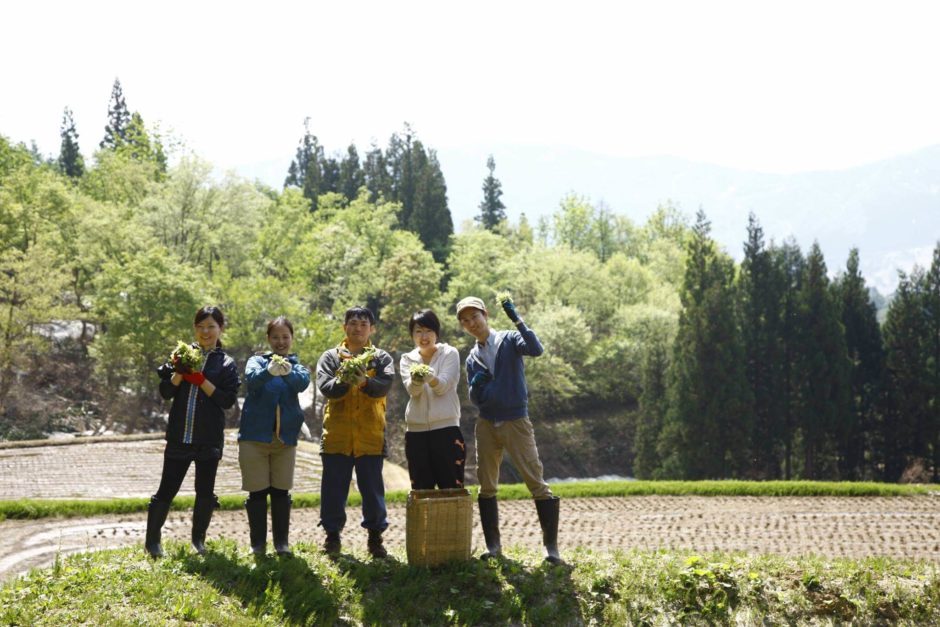 里山十帖 年に一度の「ふきみそづくり」