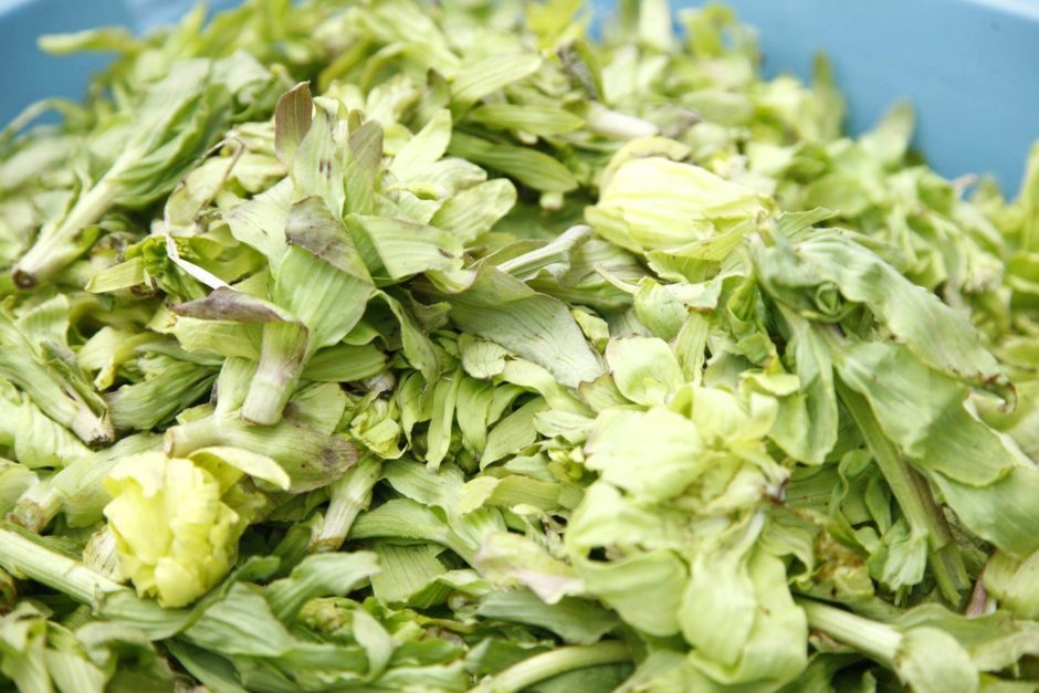里山十帖 年に一度の「ふきみそづくり」