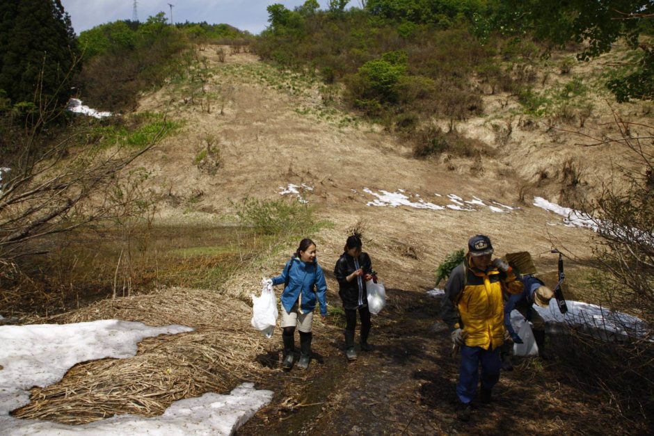 里山十帖 年に一度の「ふきみそづくり」