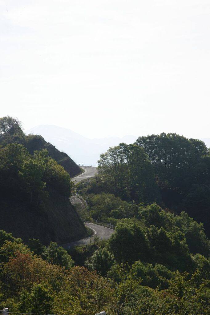 「魚沼スカイライン」/里山十帖周辺・新緑スポット②