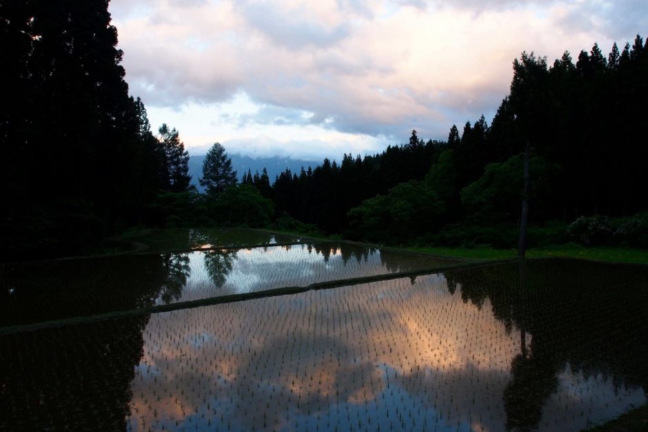 「宿周辺」/里山十帖周辺・新緑スポット⑥