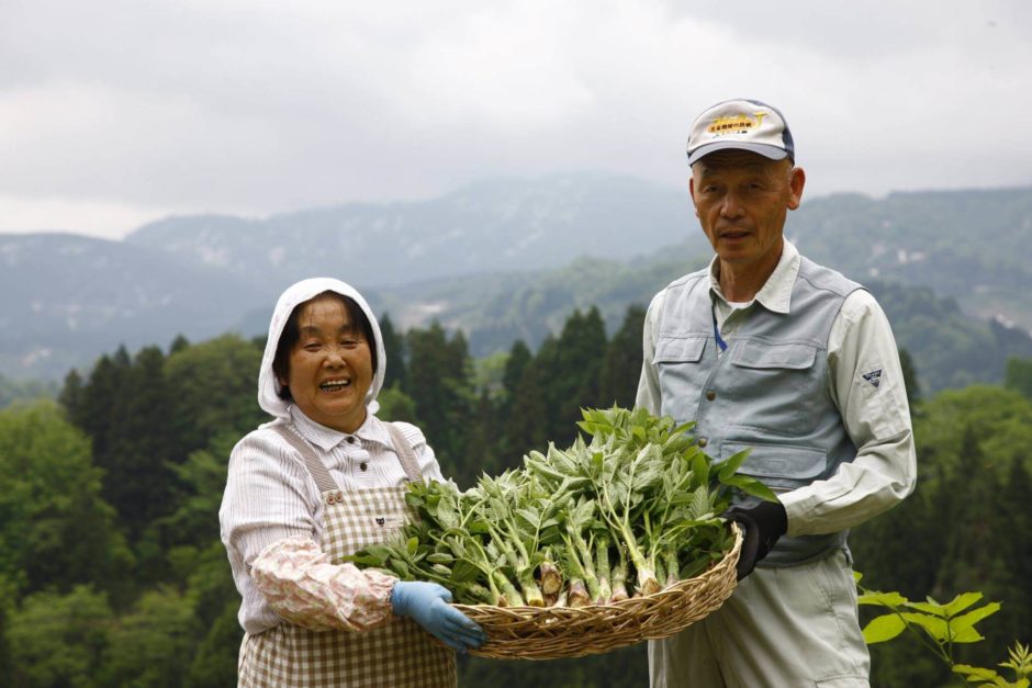 里山十帖の山菜料理の旬について