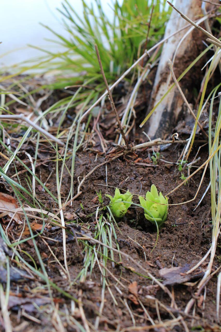 0313_05