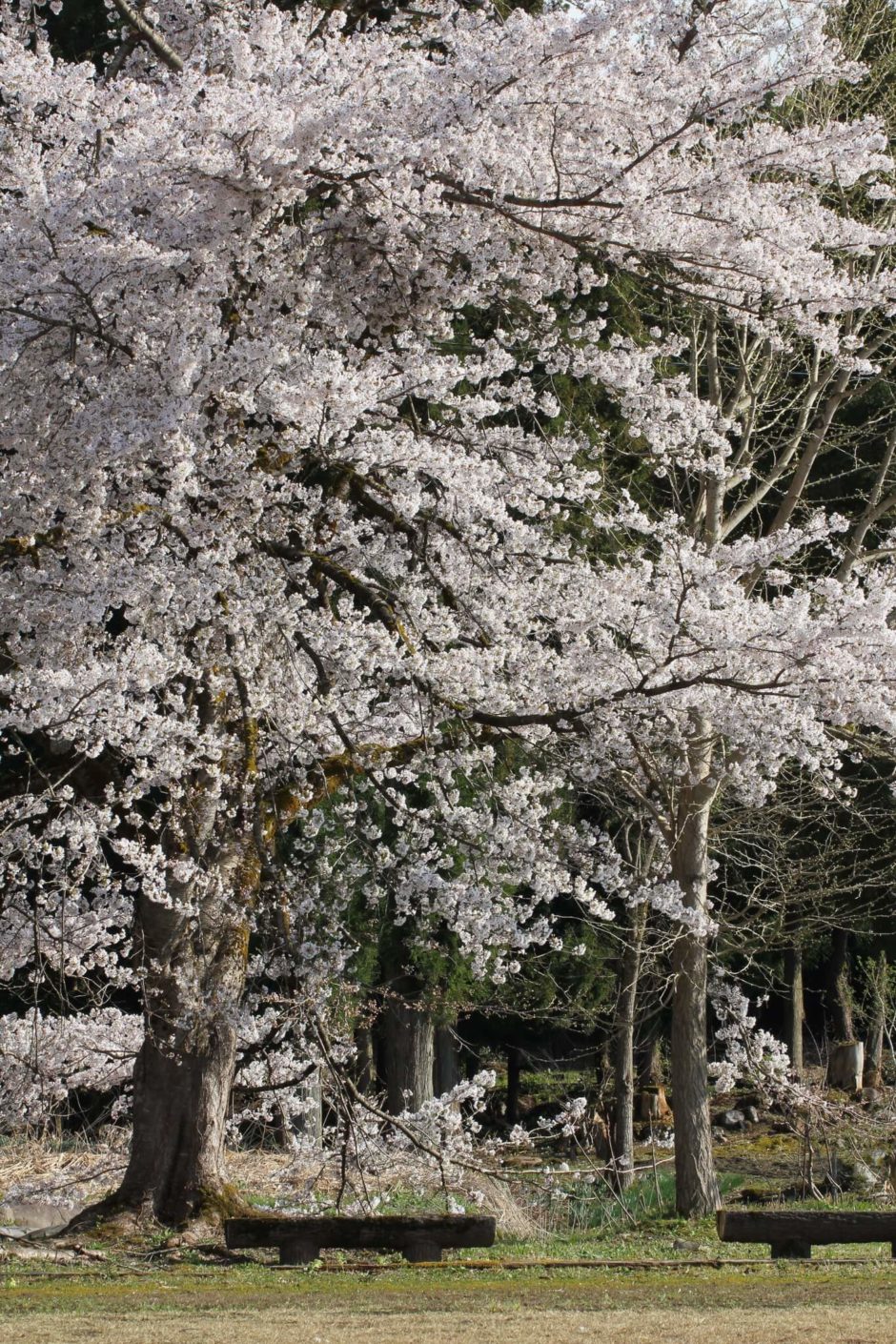 0409_09